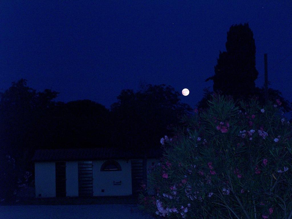 カンピーリア・マリッティマ Azienda Agrituristica Allumiereヴィラ エクステリア 写真